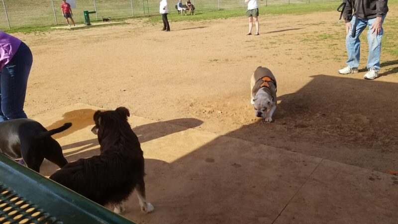 Lewis Park - Marietta, GA