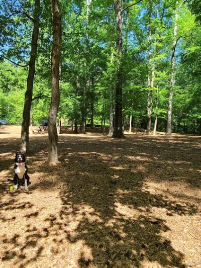 Sweat Mountain Dog Park - Marietta, GA