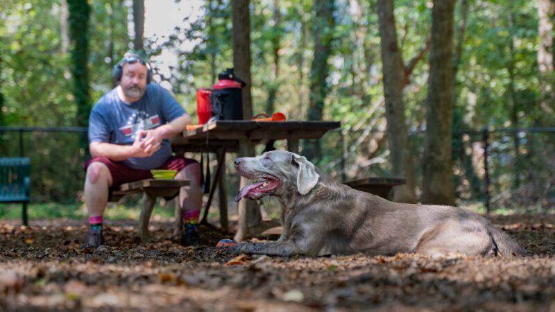 Sweat Mountain Dog Park - Marietta, GA
