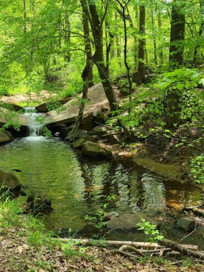 Sweat Mountain Park - Marietta, GA