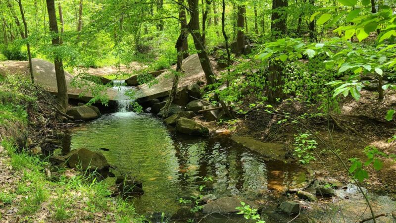 Sweat Mountain Park - Marietta, GA