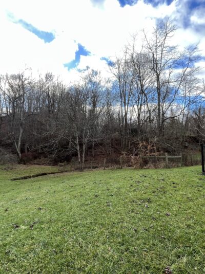 Marion Dog Park - Marion, VA