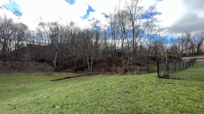 Marion Dog Park - Marion, VA