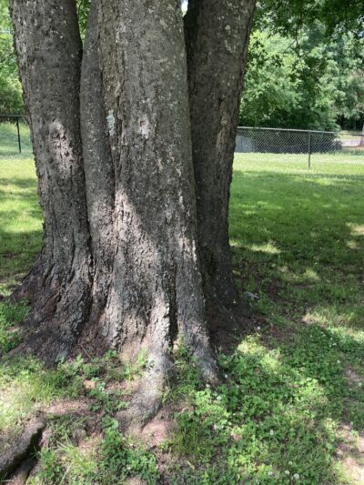 Bath-Miller Park - Marshall, TX