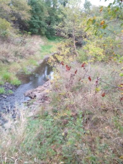 Darwin L. Judge Park. - Marshalltown, IA