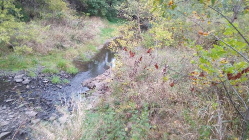 Darwin L. Judge Park. - Marshalltown, IA