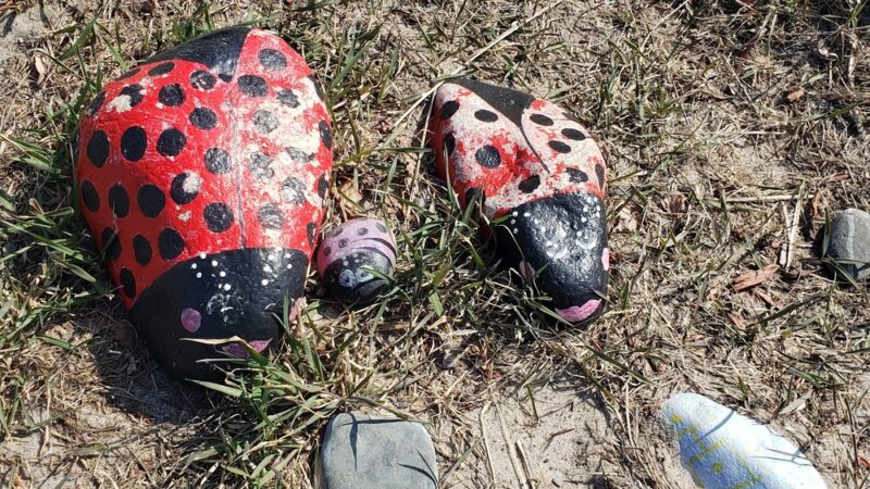 Sunrise Beach - Marshfield, MA