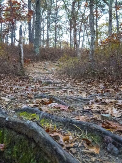 West Barnstable Conservation Area - Parking 1 - Marstons Mills, MA