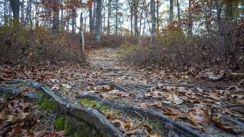 West Barnstable Conservation Area - Parking 1 - Marstons Mills, MA