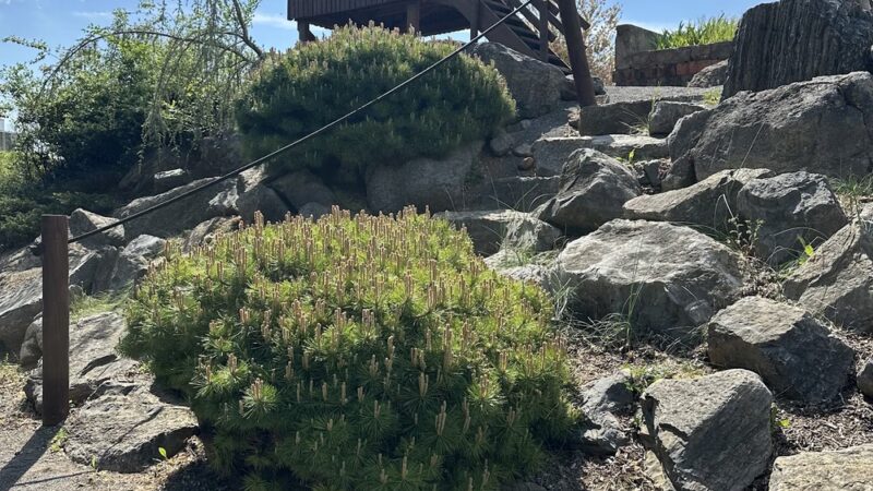 Ambrose Park - Martinsburg, WV