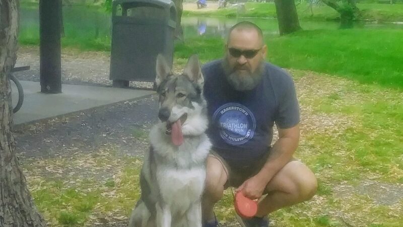 Poor House Farm Park - Rotary Pavilion - Martinsburg, WV