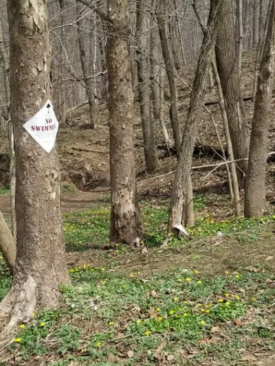 Buttermilk Falls - Martinsville, NJ
