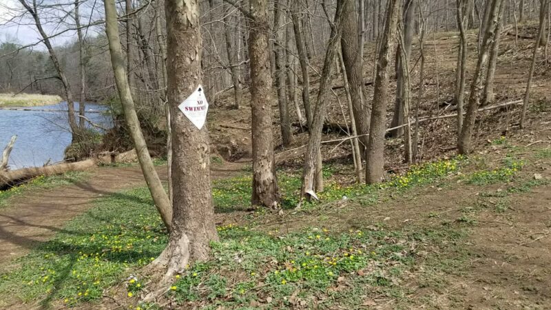 Buttermilk Falls - Martinsville, NJ