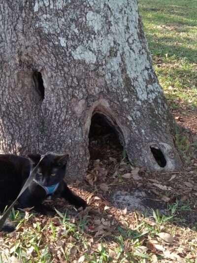 FWB park - Mary Esther, FL