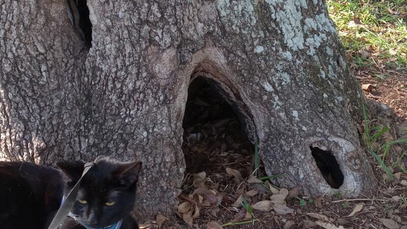 FWB park - Mary Esther, FL