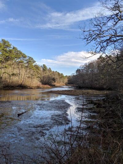 Mashpee River Woodlands - Mashpee, MA