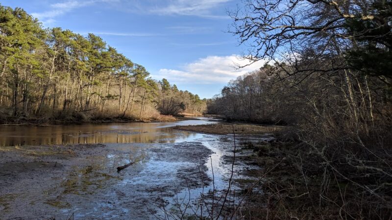 Mashpee River Woodlands - Mashpee, MA