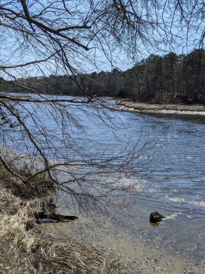 Mashpee River Woodlands - Mashpee, MA