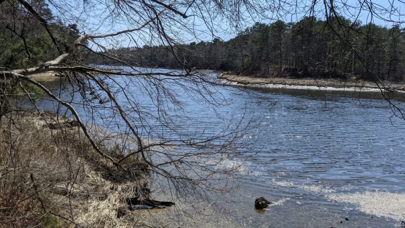 Mashpee River Woodlands - Mashpee, MA