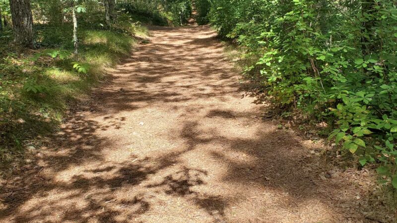 Mashpee River Woodlands - Mashpee, MA
