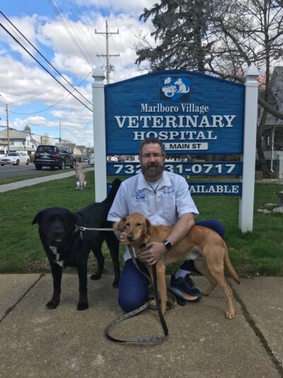 Marlboro Village Veterinary Hospital of Marlboro and Aberdeen & The Bark Park Dog Daycare! - Matawan, NJ