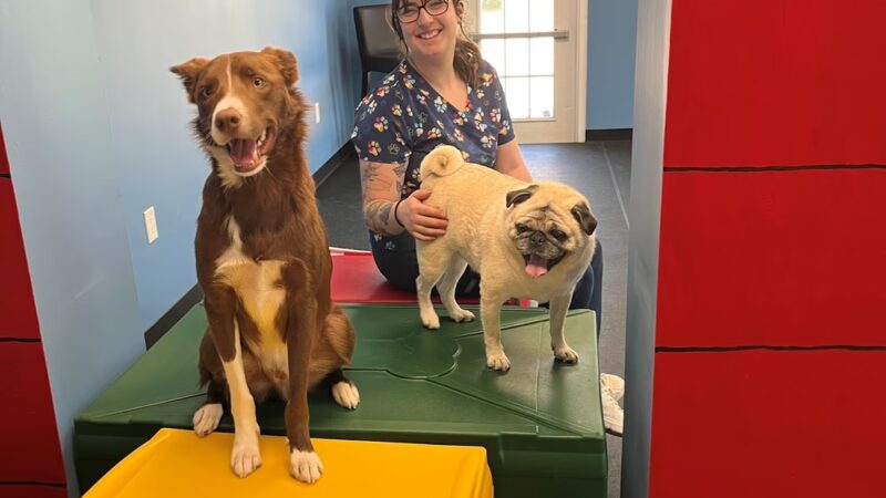 Marlboro Village Veterinary Hospital of Marlboro and Aberdeen & The Bark Park Dog Daycare! - Matawan, NJ