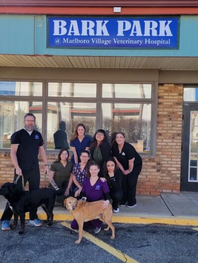 Marlboro Village Veterinary Hospital of Marlboro and Aberdeen & The Bark Park Dog Daycare! - Matawan, NJ