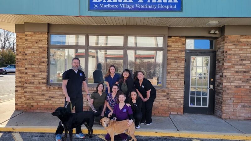 Marlboro Village Veterinary Hospital of Marlboro and Aberdeen & The Bark Park Dog Daycare! - Matawan, NJ