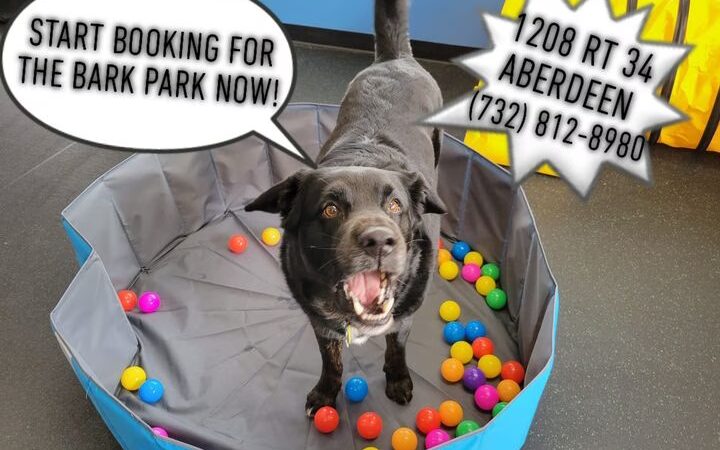 Marlboro Village Veterinary Hospital of Marlboro and Aberdeen & The Bark Park Dog Daycare! - Matawan, NJ