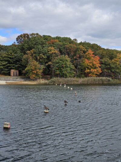 Nature Center at Cheesequake State Park - Matawan, NJ