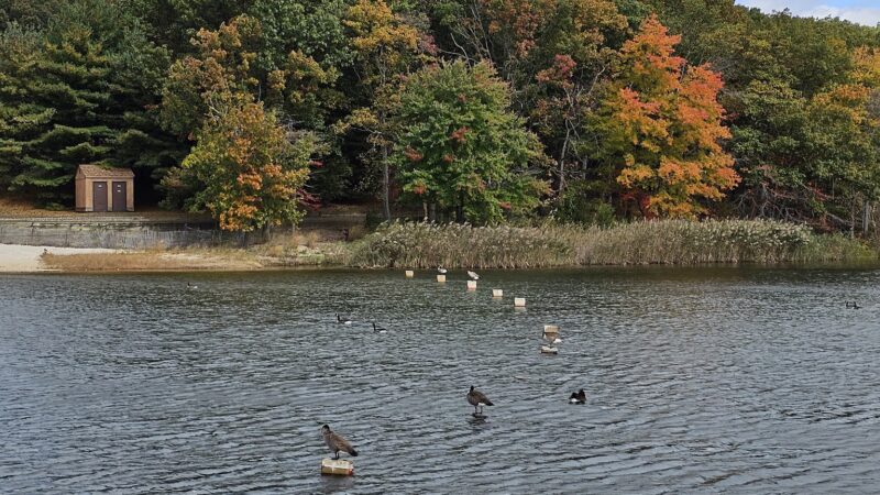 Nature Center at Cheesequake State Park - Matawan, NJ