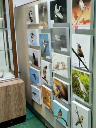 Nature Center at Cheesequake State Park - Matawan, NJ