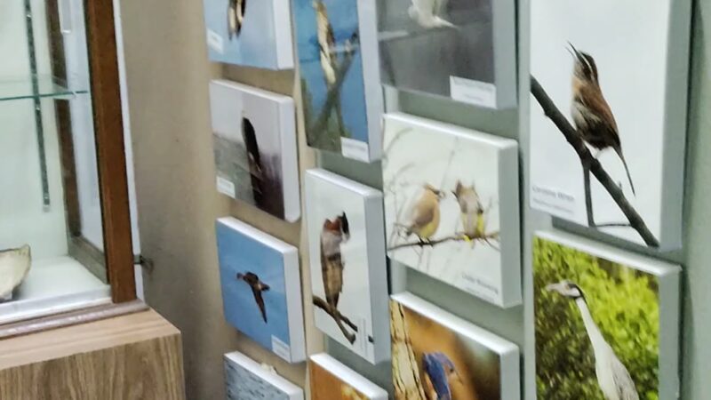 Nature Center at Cheesequake State Park - Matawan, NJ