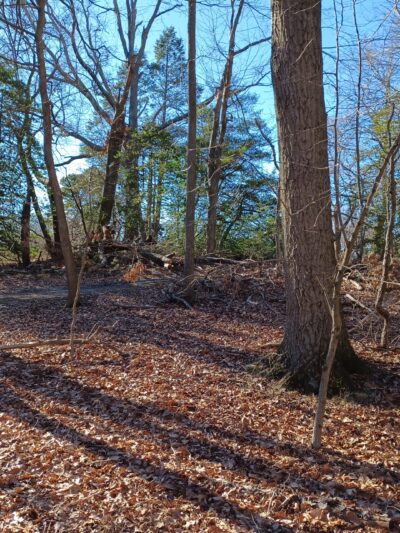 Nature Center at Cheesequake State Park - Matawan, NJ