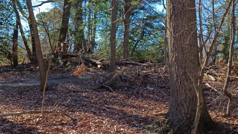 Nature Center at Cheesequake State Park - Matawan, NJ