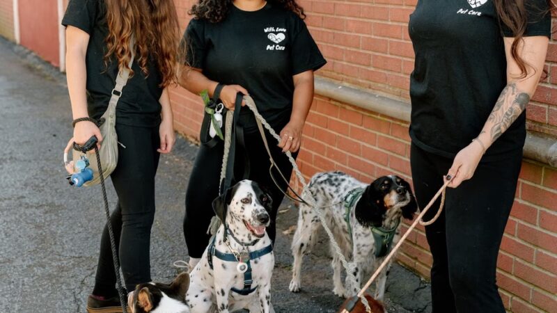 With Love Pet Care - Dog Walker & Pet Sitter in NJ - Matawan, NJ