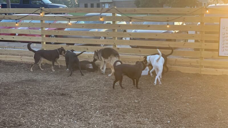 Off The Chain Dog Park Bar - Mauldin, SC