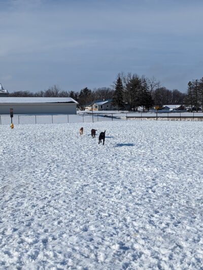 Mauston Dog Park - Mauston, WI