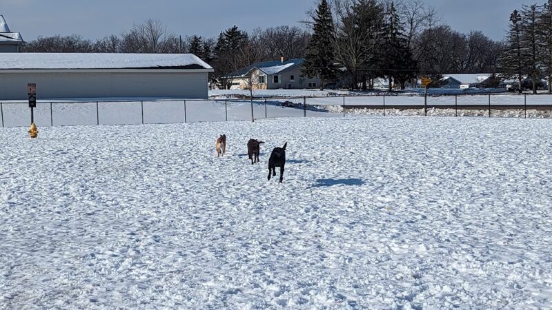 Mauston Dog Park - Mauston, WI