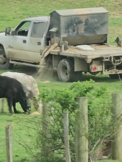 Fort Chiswell RV Park - Max Meadows, VA