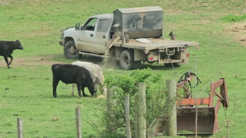 Fort Chiswell RV Park - Max Meadows, VA