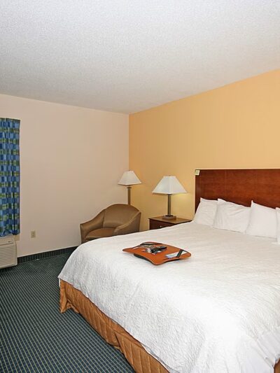 Hampton Inn Ft. Chiswell-Max Meadows - Max Meadows, VA