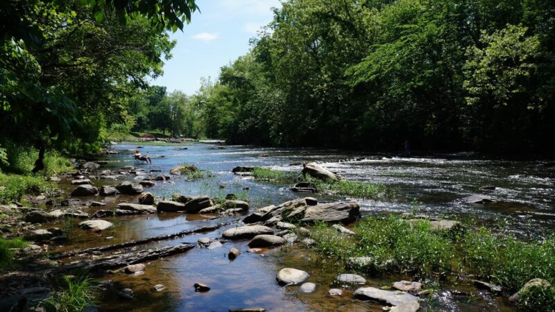 New River Trail State Park - Max Meadows, VA