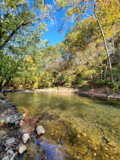 Pioneer Village RV Park - Max Meadows, VA