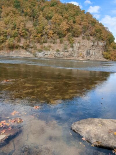 Va Department Conservation Recreation - Max Meadows, VA