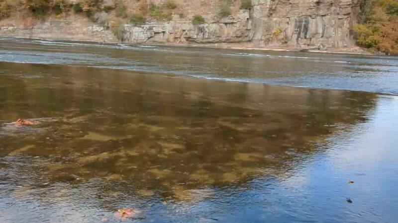 Va Department Conservation Recreation - Max Meadows, VA