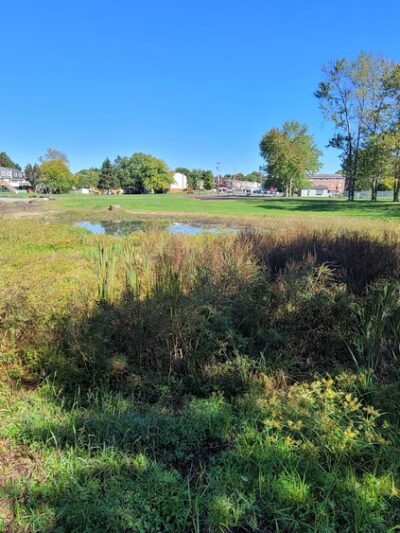 David Weiss Memorial Park - Maybrook, NY