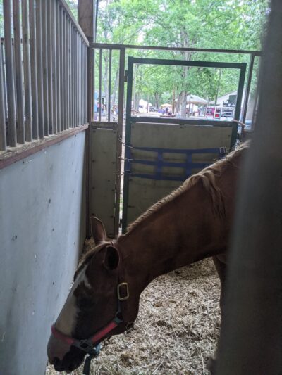 Atlantic County 4-H Fairgrounds - Mays Landing, NJ