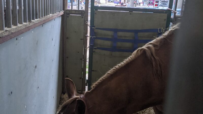 Atlantic County 4-H Fairgrounds - Mays Landing, NJ