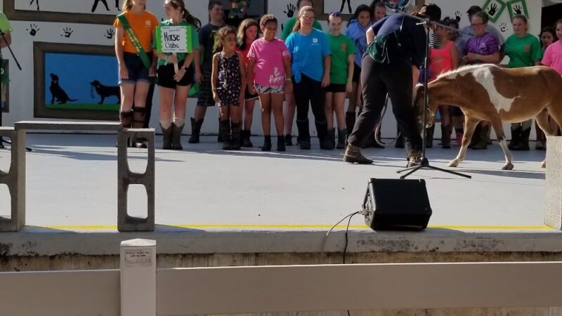 Atlantic County 4-H Fairgrounds - Mays Landing, NJ